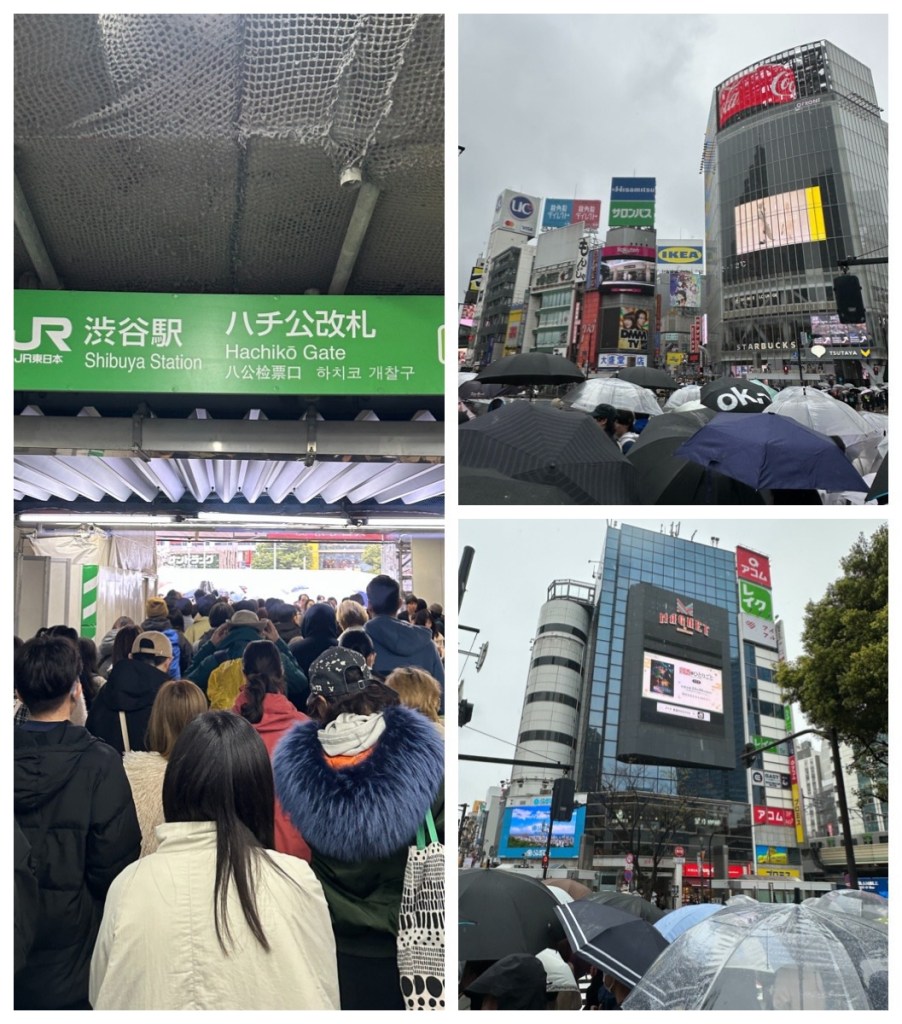 This image has an empty alt attribute; its file name is img_2320-1.jpg