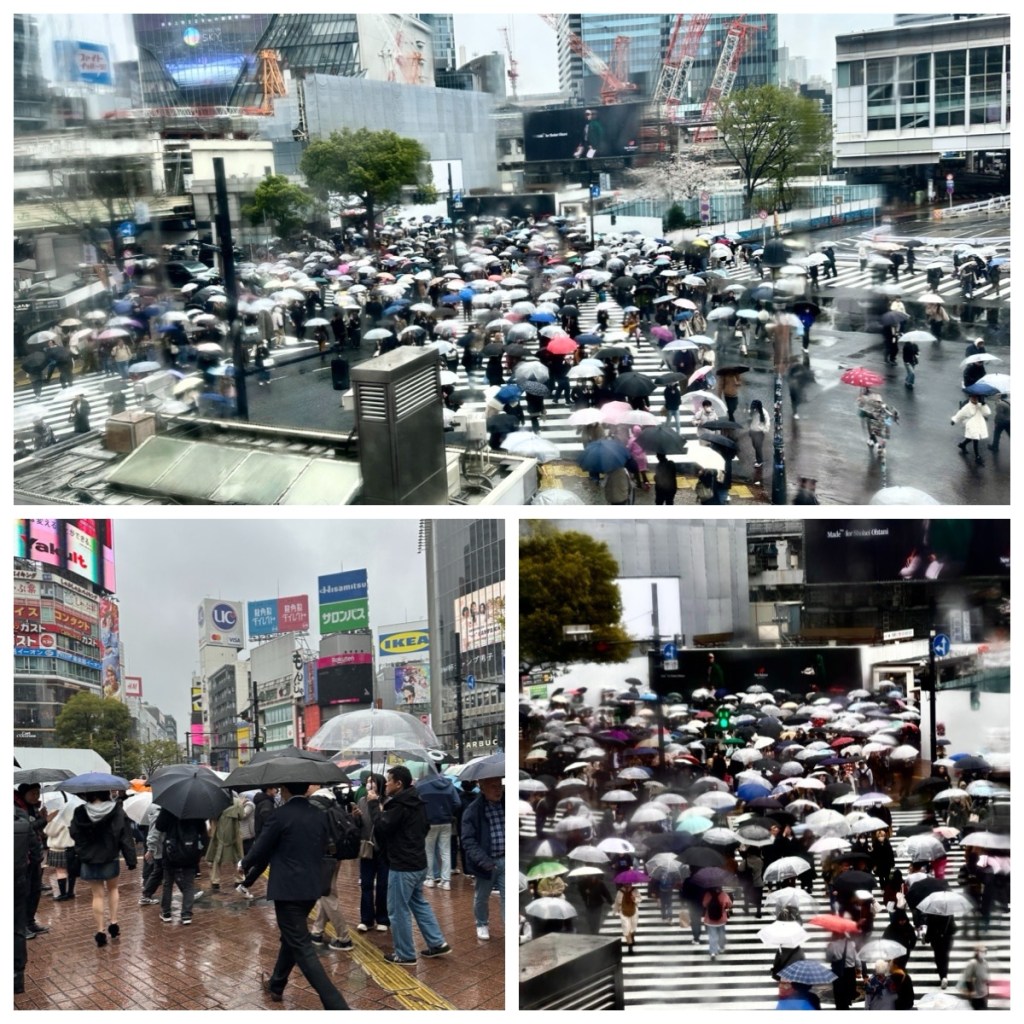 This image has an empty alt attribute; its file name is img_2321-1.jpg