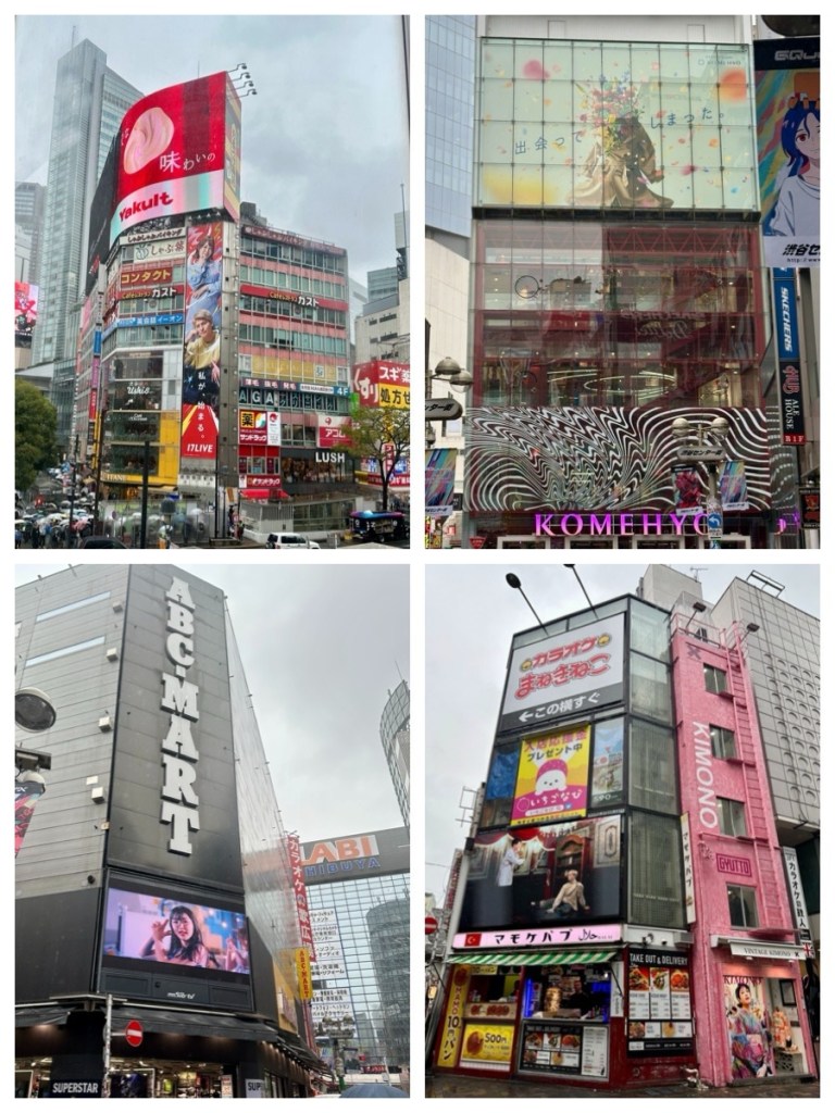 This image has an empty alt attribute; its file name is img_2322-1.jpg