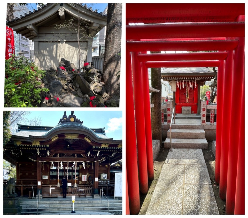 This image has an empty alt attribute; its file name is img_2329-1.jpg