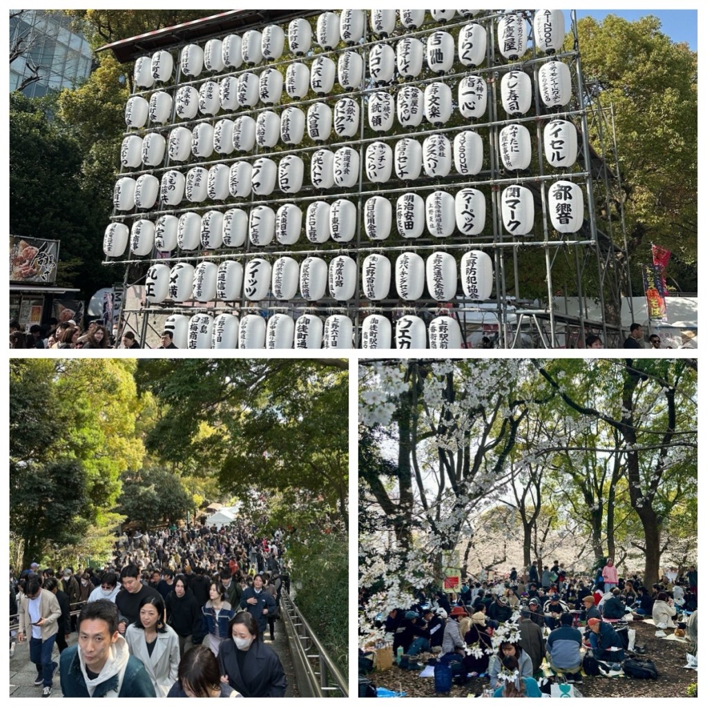 This image has an empty alt attribute; its file name is img_2333-1.jpg