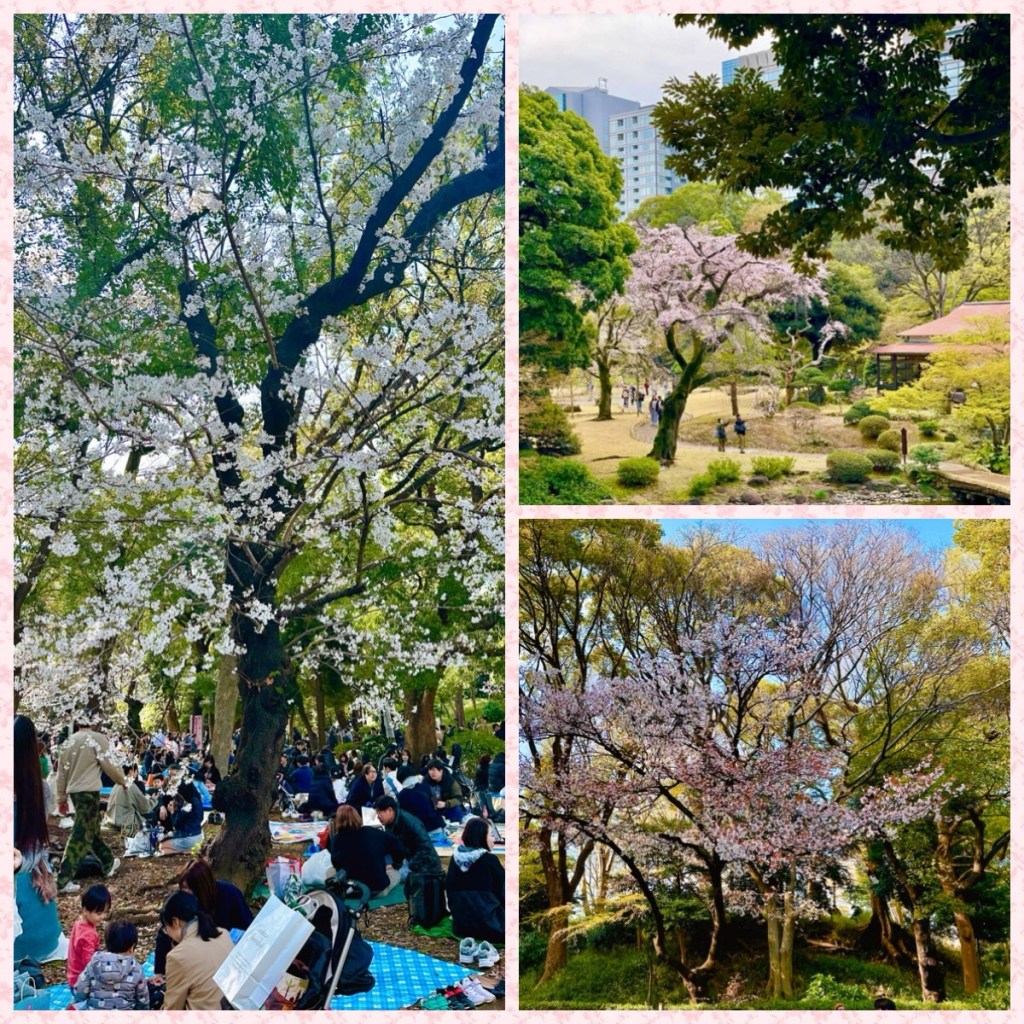 This image has an empty alt attribute; its file name is img_2335-1.jpg