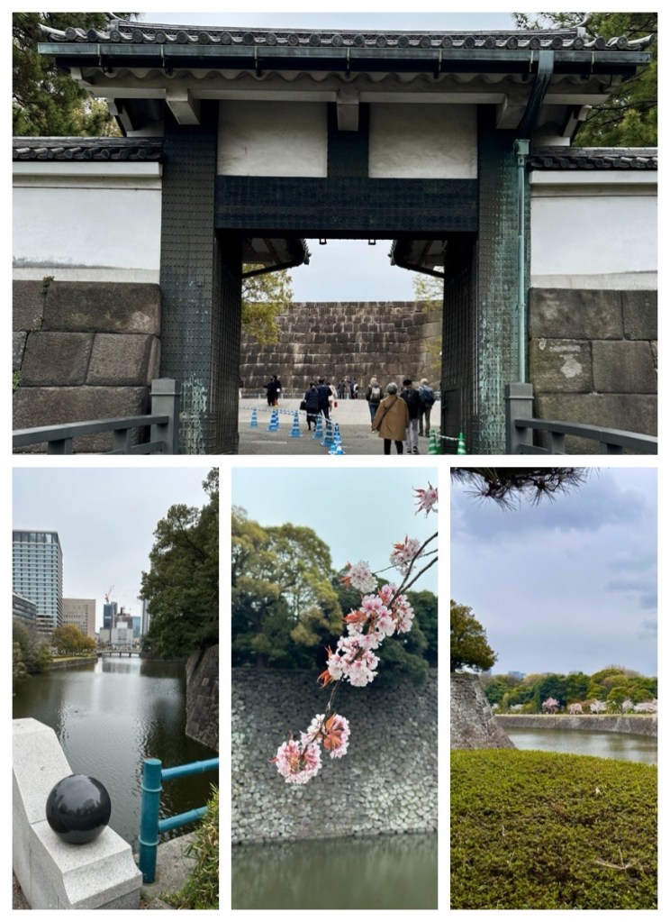 This image has an empty alt attribute; its file name is img_2355-1.jpg